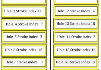 Nieuwe stroke index